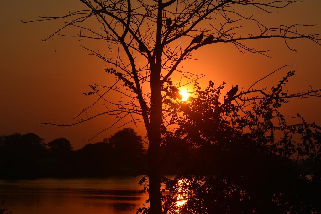 Zambezi Mubala Camp Otel Katima Mulilo Dış mekan fotoğraf